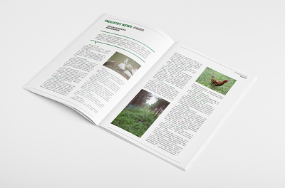 至臻設計 | 華裕農莊內部期刊 原創設計作品集錦