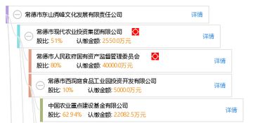 常德市東山秀峰文化發(fā)展有限責(zé)任公司 以文化為根基，打造常德軟件開發(fā)新標(biāo)桿